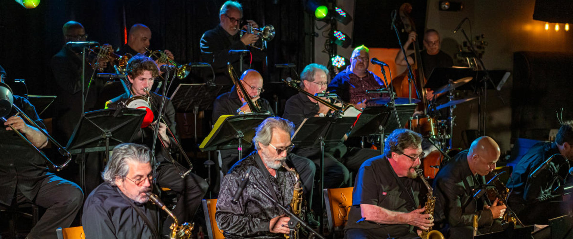 Can I Bring My Pet to the Jazz Festival in Philadelphia, PA? - A Guide